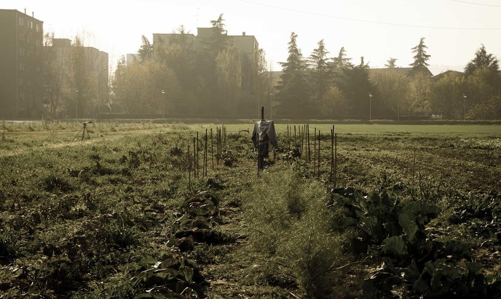Podere San Giuliano Villa San Lazzaro di Savena Dış mekan fotoğraf